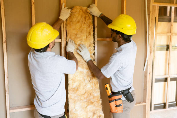 Insulation Replacement Services in Berkshire Lakes, FL